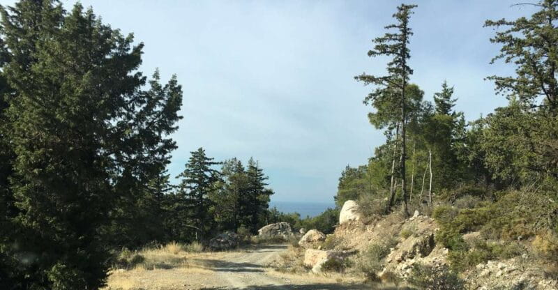 Rhodes South Safari: Mountains & Local Flavors - Why This Tour Stands Out