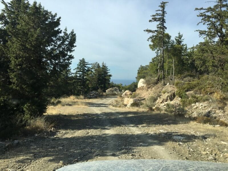 Rhodes South Safari: Mountains & Local Flavors - The Practical Side: Price, Duration, and Value