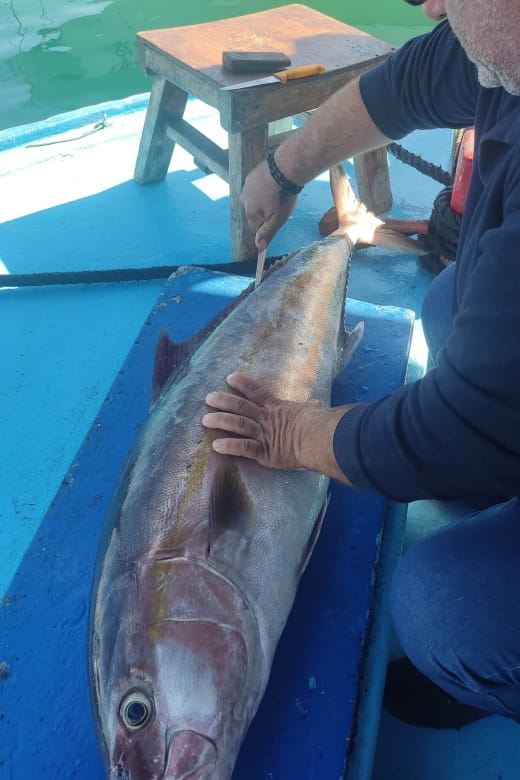 Rhodes Town: Fishing Boat Trip with Fish Meal and Swim Stops - The Sum Up