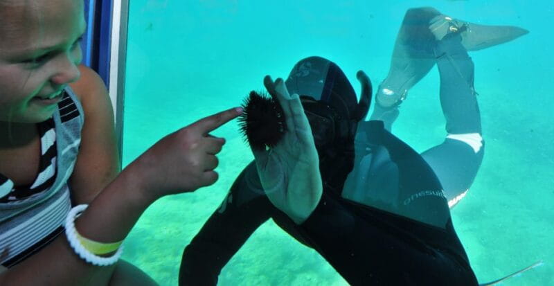 Rhodes Town: Yellow Submarine Cruise with Underwater Views - Entering the Underwater World: The Cabin and Observations