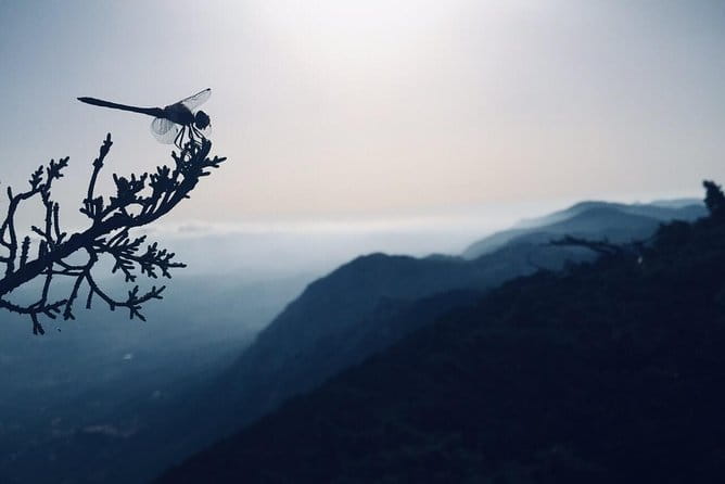 Rhodes Uncharted South Safari: Mountains, Monasteries, & Flavors - Authentic Experiences and Cultural Touches