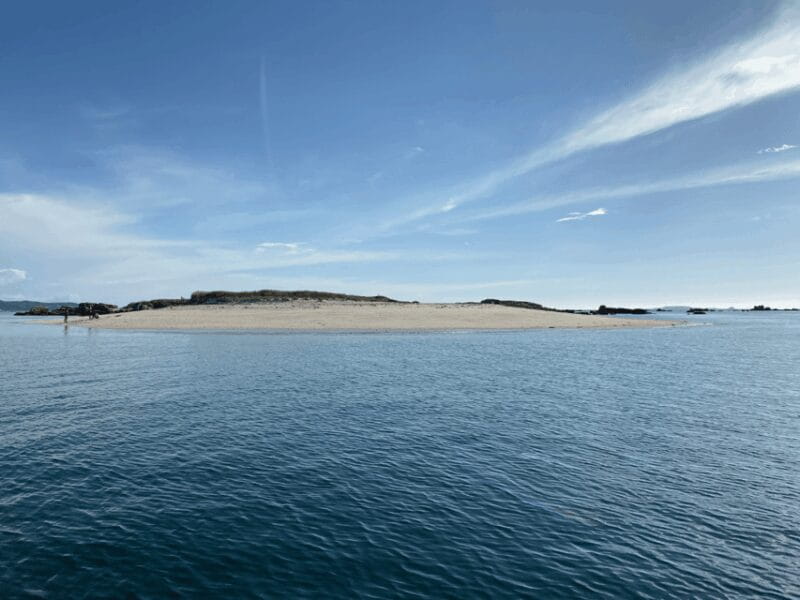 Ría de Arousa: Daytime or Sunset Sailboat Cruise with drinks - Key Points / Takeaways