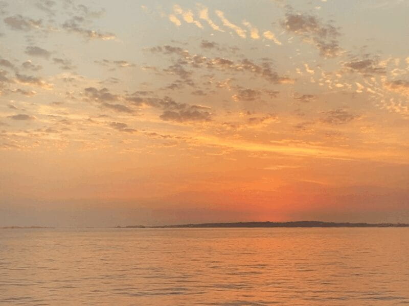 Ría de Arousa: Daytime or Sunset Sailboat Cruise with drinks - Who Will Love This Cruise?