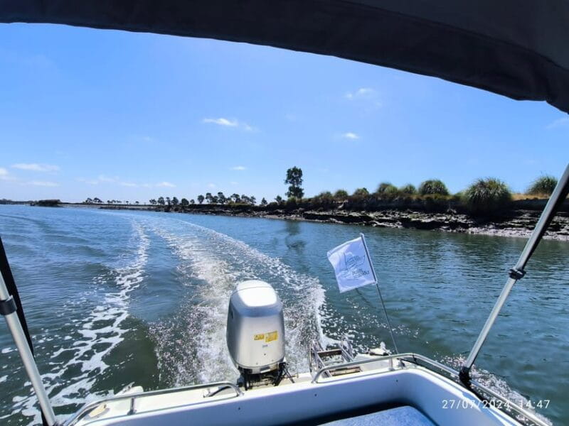 Ria de Aveiro Wakeboard Experience - Who Should Book This Experience?