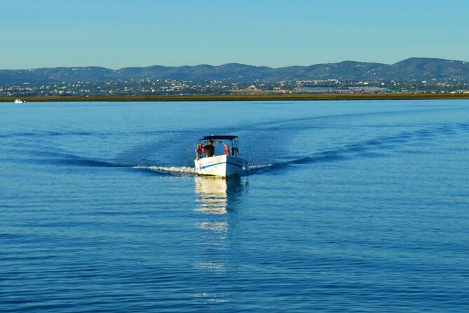 Ria Formosa: 3-Hour Tour With Stops at Culatra Island and Armona Island - Exploring Culatra Island