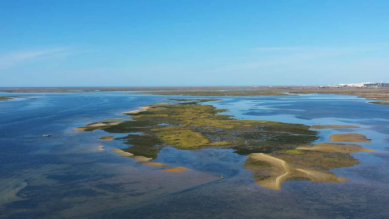 Ria Formosa: Armona and Culatra Islands 3-Hour Boat Tour - Exploring Portugal’s Coastal Wonder: Ria Formosa’s Armona and Culatra Islands Boat Tour