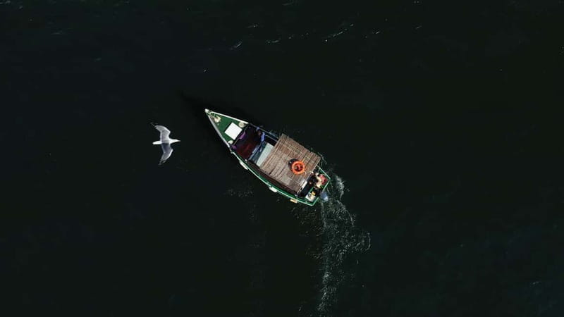 Ria Formosa: Armona and Culatra Islands 3-Hour Boat Tour - Price and Logistics: What You Need to Know