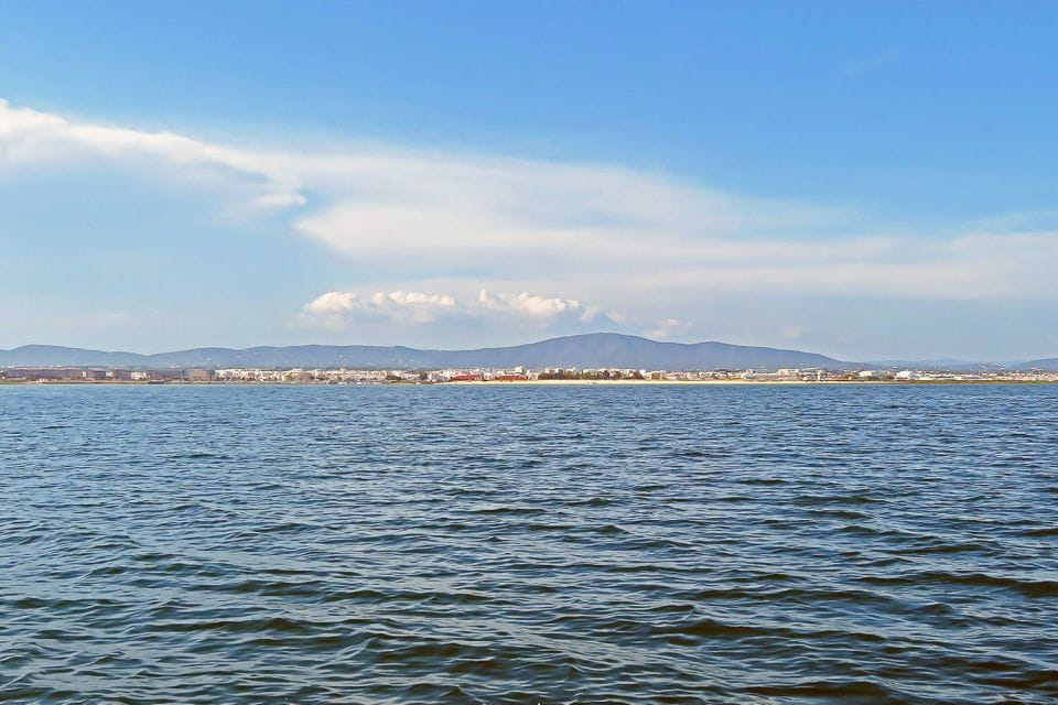 Ria Formosa: Sightseeing Boat Tour From Olhão - Key Points