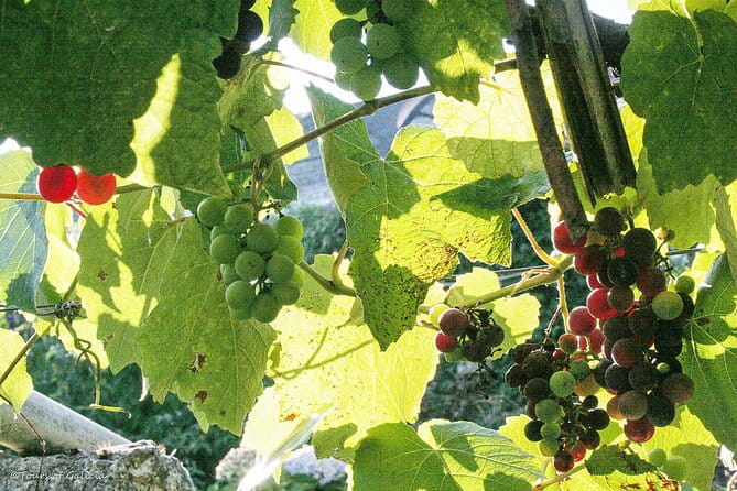 Rias Baixas PRIVATE Shore tour - La Lanzada Beach & Local Legends