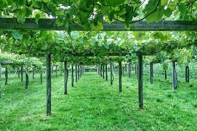 Rias Baixas Tour - Arousa Estuary Boat Trip