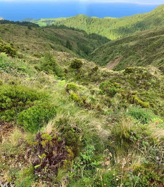 Ribeira Grande: Salto do Cabrito Hike, Culture & Picnic - Key points / Takeaways