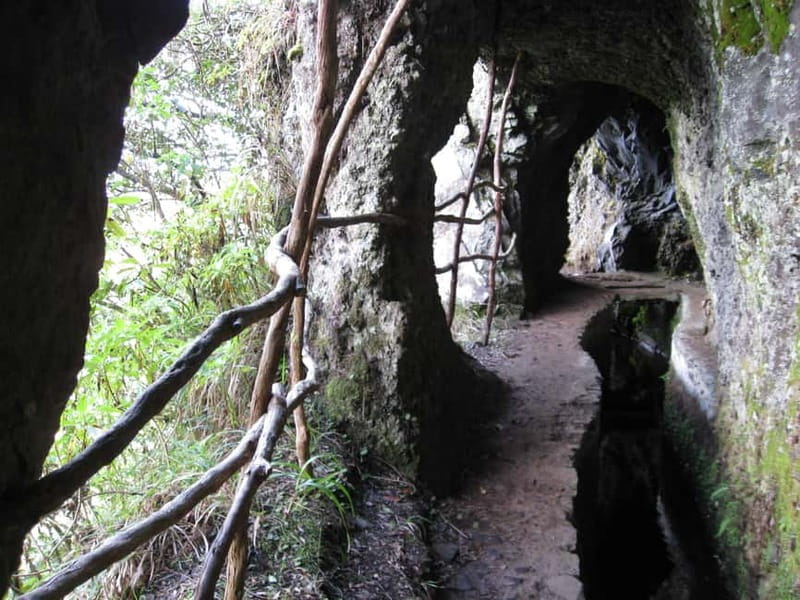 Ribeiro Frio / Portela Full day hike - Exploring Madeira’s Natural Heritage on the Ribeiro Frio / Portela Hike