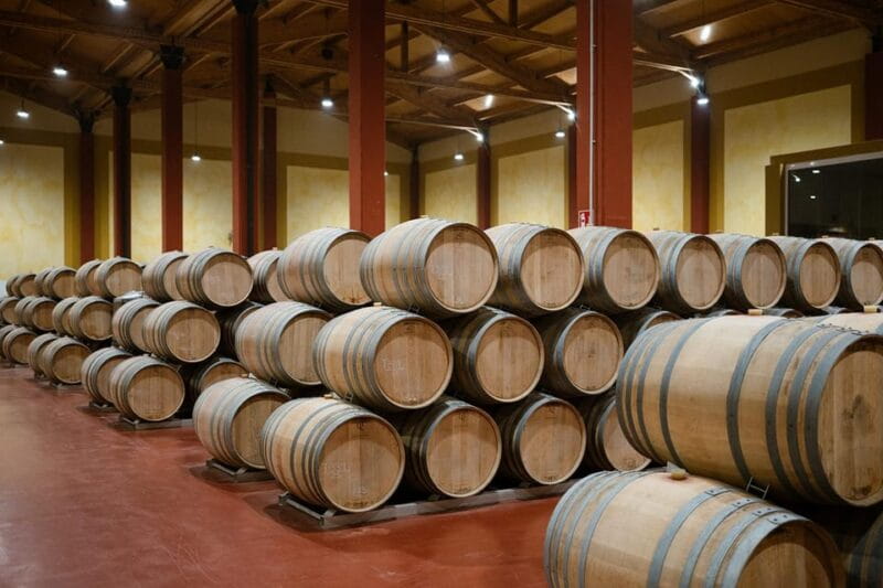 Ribera del Duero: Experience, vineyard and 4x4 mountain, aperitif and tasting. - A Unique Wine Adventure in Ribera del Duero