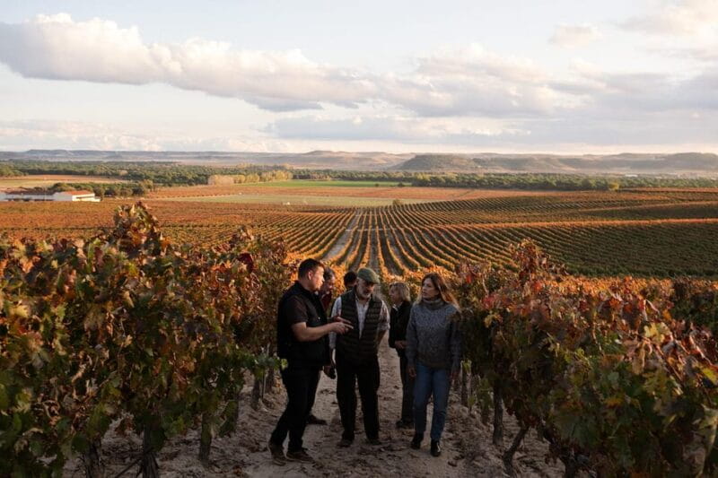 Ribera del Duero: Experience, vineyard and 4x4 mountain, aperitif and tasting. - Key Points / Takeaways