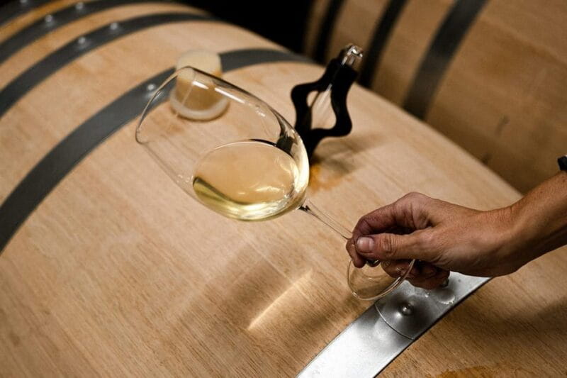 Ribera del Duero: Experience, vineyard and 4x4 mountain, aperitif and tasting. - The Practical Details: What You Need to Know