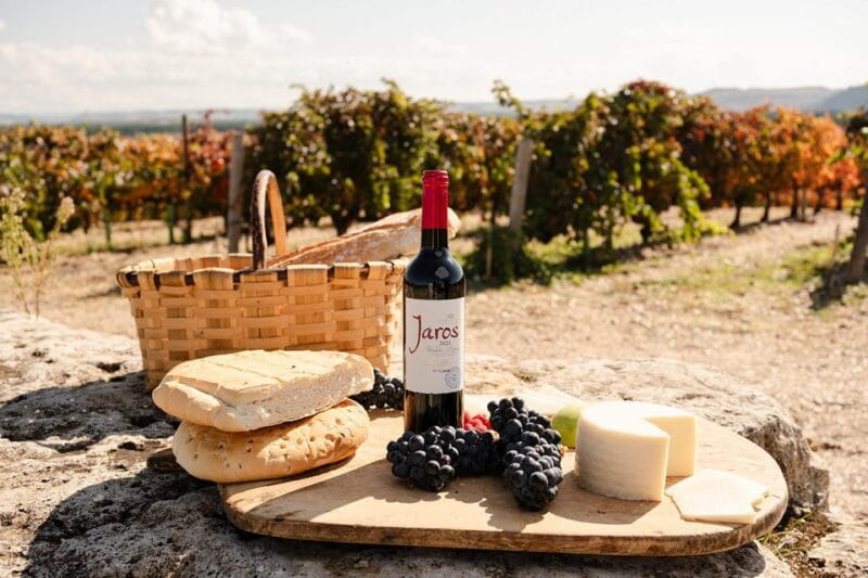 Ribera del Duero: Experience, vineyard and 4x4 mountain, aperitif and tasting. - In The Sum Up: A Genuine, Enjoyable Wine Encounter