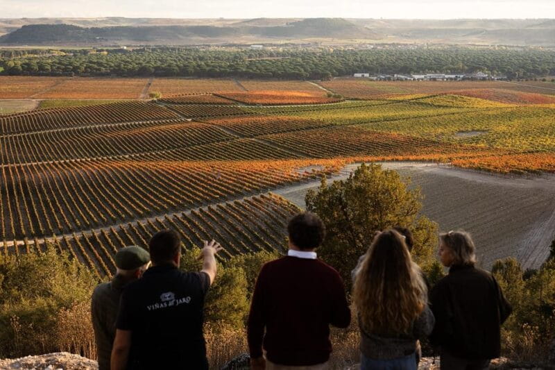 Ribera del Duero: Experience, vineyard and 4x4 mountain, aperitif and tasting. - FAQ