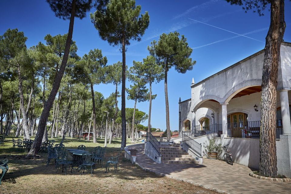 Ribera Del Duero: Red Wine Discovery Tour With Tastings - Booking Your Tour