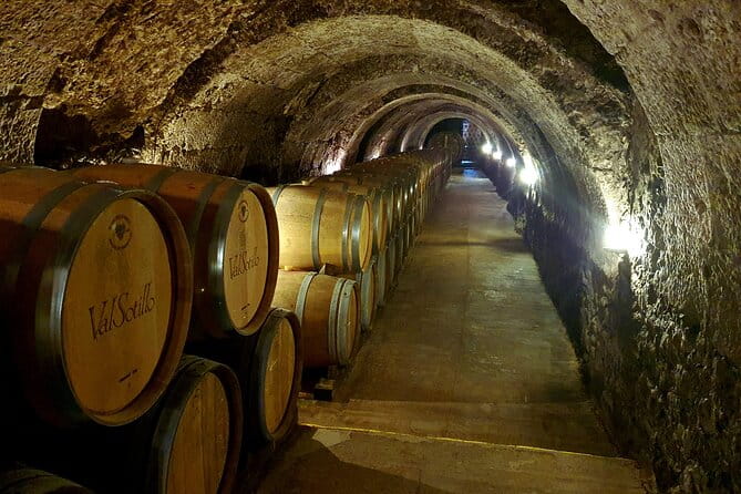 Ribera del Duero Tour: 4 Wineries Visit, Wine Tasting & Lunch - Who Will Love This Tour?