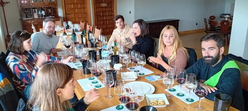 Ribera del Duero Tour: Three Wineries & Lunch from Madrid - Key points / Takeaways
