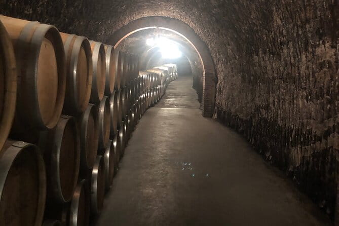 Ribera del Duero Tour: Two Wineries with Transport from Madrid - Key points / Takeaways