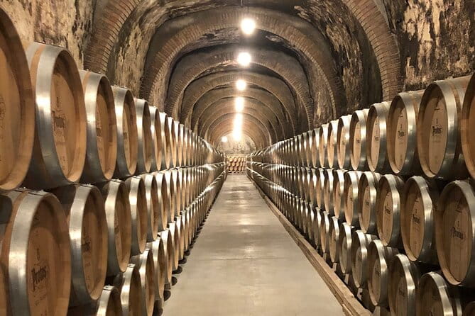 Ribera del Duero Tour: Two Wineries with Transport from Madrid - Exploring the Day in Depth: A Step-by-Step Breakdown