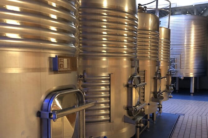 Ribera del Duero Tour: Two Wineries with Transport from Madrid - The Sum Up: Is This the Right Tour for You?