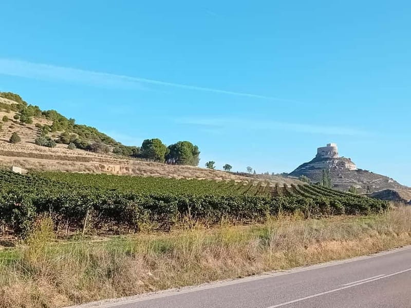 Ribera del Duero: Two Wineries with Transport from Madrid - Transportation: Scenic, Comfortable, and Hassle-Free