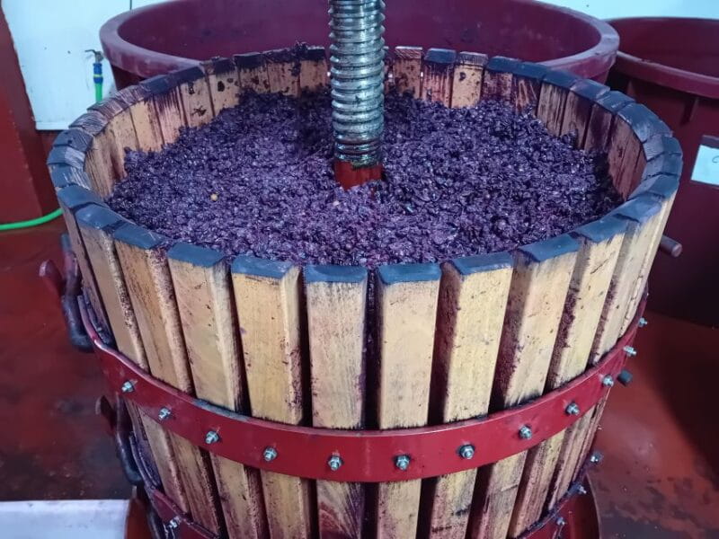 Ribera del Duero: Two Wineries with Transport from Madrid - The Sum Up: Who Should Book This Experience?