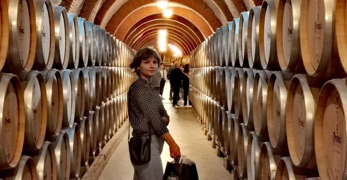 Ribera Del Duero Wine Region Private Tour - Winemaking Process Insights