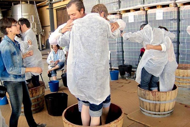 Ribera Del Duero Winery Guided Tour and Wine Tasting From Madrid - Inclusions and Exclusions of the Tour