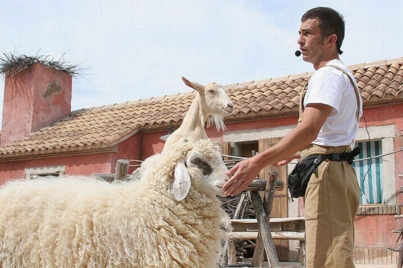 Riccione: Oltremare Park Entrance Ticket - Final Thoughts