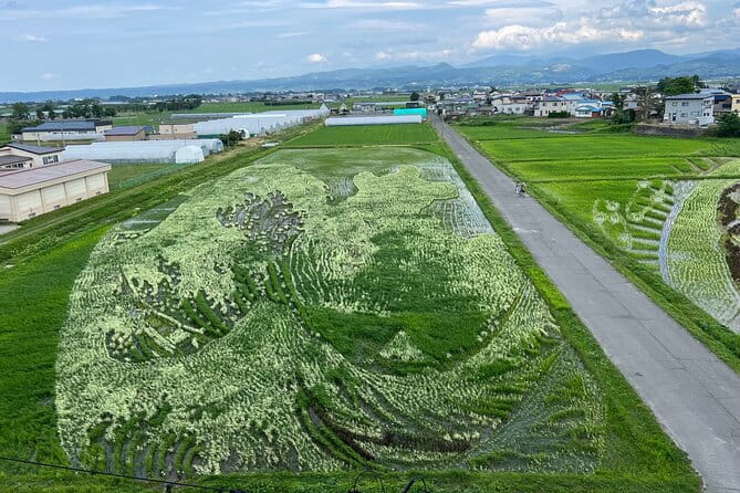 Rice Paddy Art Half Day Tour in Aomori - Whats Included in the Tour