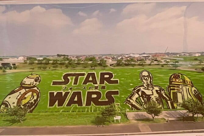 Rice Paddy Art Half Day Tour in Aomori - The Art of Rice Paddy Design