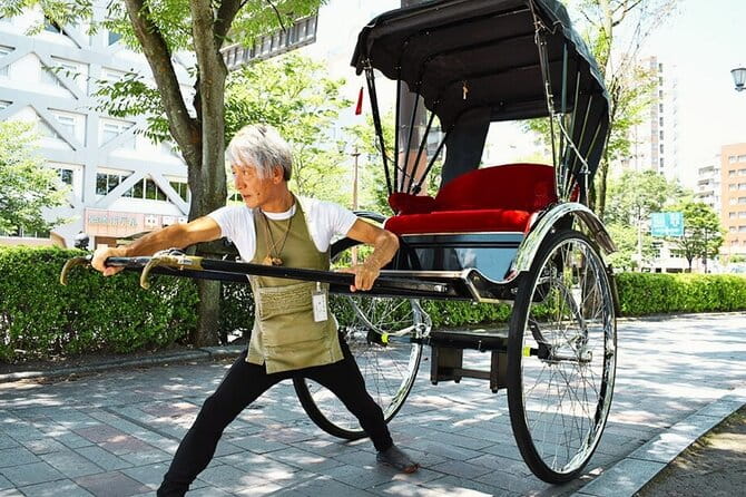 Rickshaw Tour of Kagoshimas Historical and Cultural Sites - Key Points