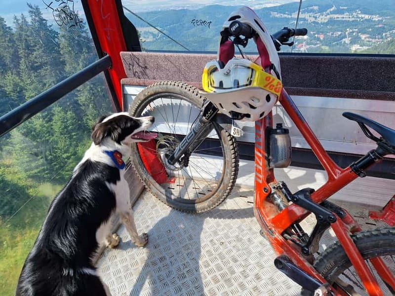 Ride Braovs Wild Trails with Daisy & Taste Local Life - An Authentic Romanian Mountain Biking Experience with Daisy