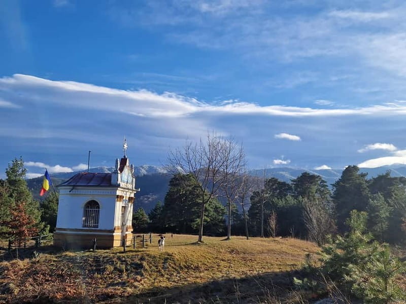 Ride Braovs Wild Trails with Daisy & Taste Local Life - Final Thoughts