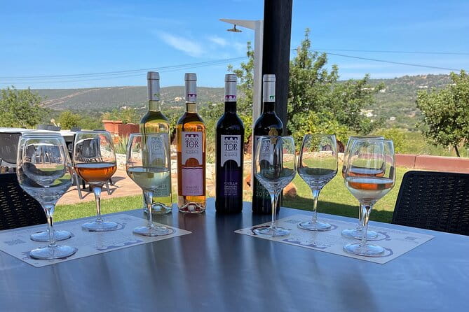 Ride & Wine: Scenic Quinta Da Tor Winery Electric Motorbike Tour - Key Points / Takeaways