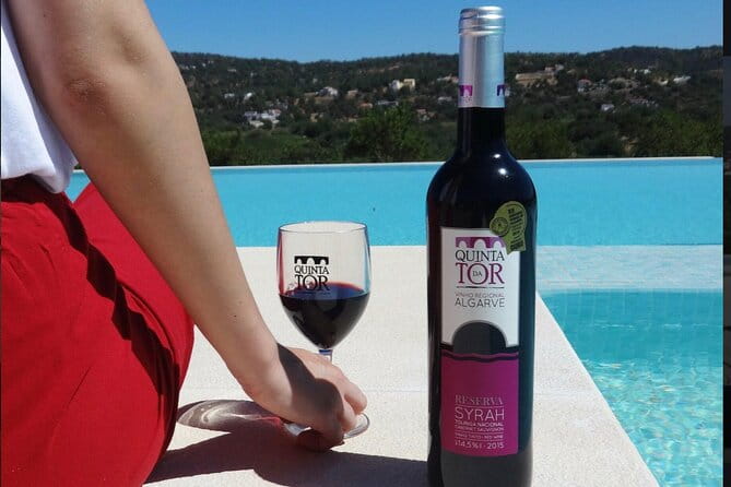 Ride & Wine: Scenic Quinta Da Tor Winery Electric Motorbike Tour - Who Is This Tour Best Suited For?