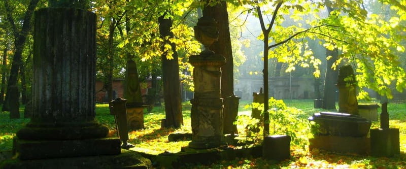 Riga Explorer Bike Tour - Exploring Riga on Two Wheels: A Deep Dive into the Riga Explorer Bike Tour