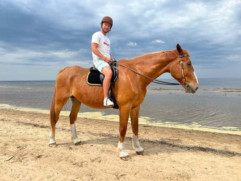Riga Horse Riding tour along the Beach - An introduction to a memorable seaside adventure