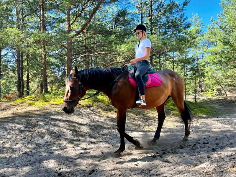 Riga Horse Riding tour along the Beach - Who this tour suits best
