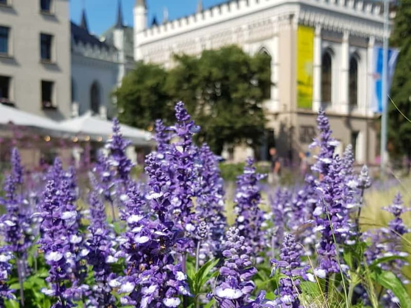 Riga: Private City Tour by car (incl. Old Town) - Riga’s Heritage: A City of Many Epochs