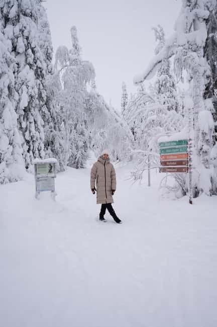 Riisitunturi National Park Private Photoshoot & Hiking - Key points / Takeaways