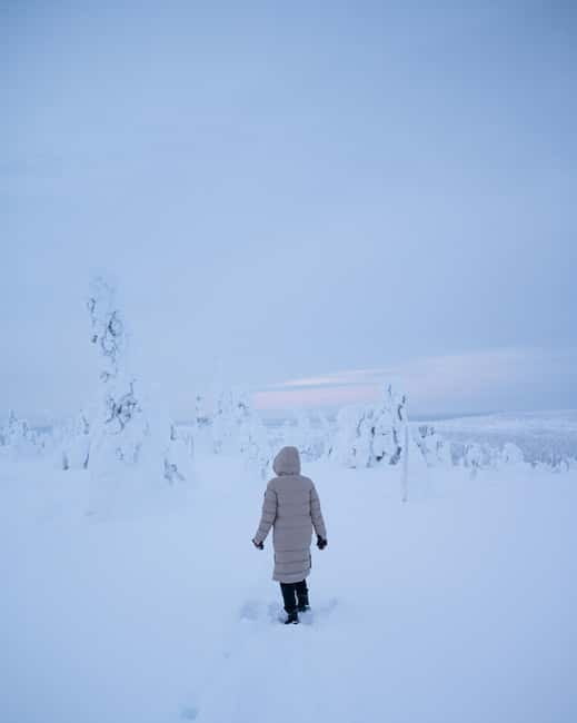 Riisitunturi National Park Private Photoshoot & Hiking - Starting Point: Rovaniemi Pickup and Drop-off