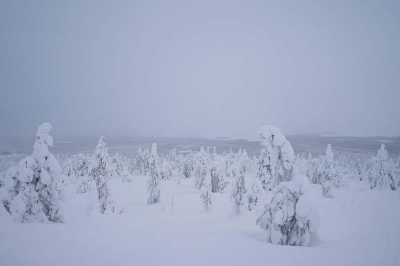 Riisitunturi National Park Private Photoshoot & Hiking - Who It’s Perfect For