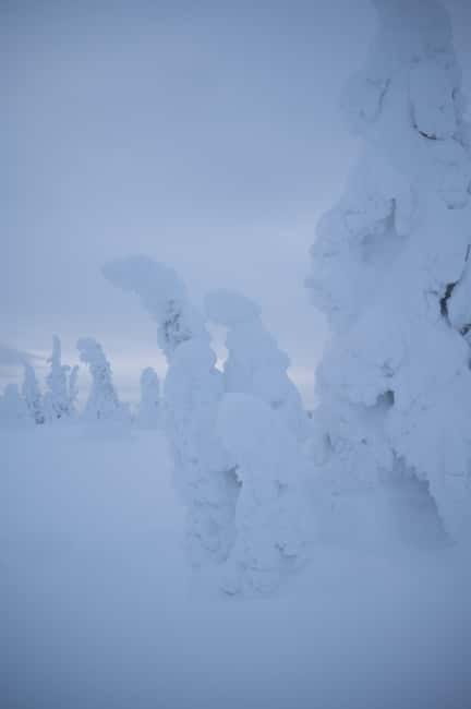 Riisitunturi National Park Private Photoshoot & Hiking - Practicalities and Tips