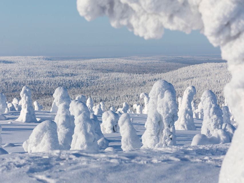 Riisitunturi National Park: Wilderness Expedition & Barbecue - Key Points