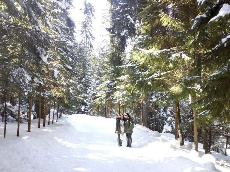 Rila Mountain Winter Day Trip - Who Will Benefit Most from This Tour?