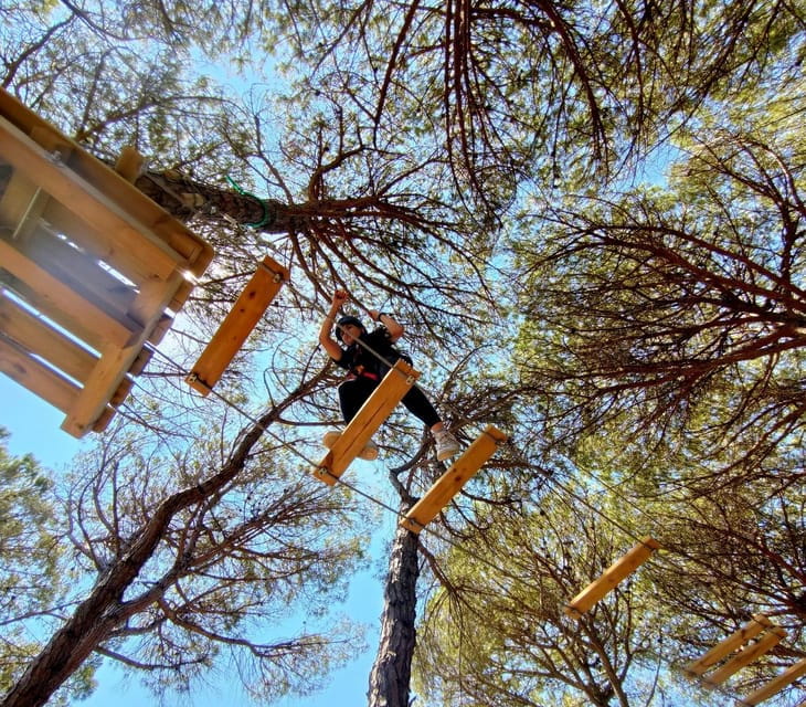 Rimini: Adventure Park Entry Ticket - Entering The Adventure: What to Expect at Rimini’s Top Adventure Park